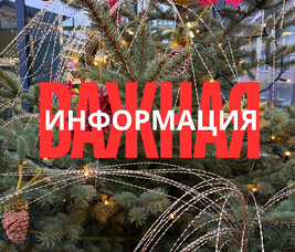 ВНИМАНИЕ! ПИТОМНИК РАСТЕНИЙ "ЗЕЛЁНЫЙ ГОРИЗОНТ" НЕ РЕАЛИЗУЕТ СВОЮ ПРОДУКЦИИ ОНЛАЙН!