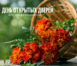 ДЕНЬ ОТКРЫТЫХ ДВЕРЕЙ ДЛЯ ПРОФЕССИОНАЛОВ В ПИТОМНИКЕ "ЗЕЛЁНЫЙ ГОРИЗОНТ"