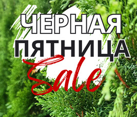 ЧЕРНАЯ ПЯТНИЦА В ПИТОМНИКЕ РАСТЕНИЙ "ЗЕЛЁНЫЙ ГОРИЗОНТ": СУМАШЕДШИЕ СКИДКИ 20-22 ОКТЯБРЯ