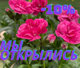 МАГАЗИН "ЗЕЛЁНЫЙ МИР" ПО УЛ.ДЗЕРЖИНСКОГО 118 ОТКРЫЛСЯ И ДАРИТ СКИДКУ 10% НА ВСЁ ДО КОНЦА МАРТА