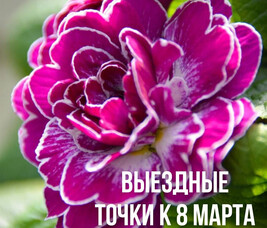 5 МАРТА НАЧИНАЮТ РАБОТАТЬ ВЫЕЗДНЫЕ ТОРГОВЫЕ ТОЧКИ С ЦВЕТАМИ К 8 МАРТА