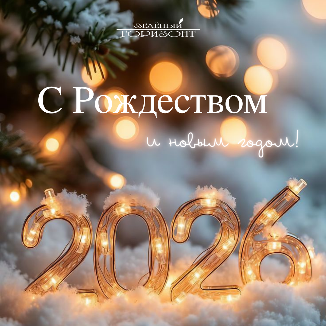 С РОЖДЕСТВОМ И НОВЫМ ГОДОМ!!! ГРАФИК РАБОТЫ В ПРАЗДНИЧНЫЕ ДНИ