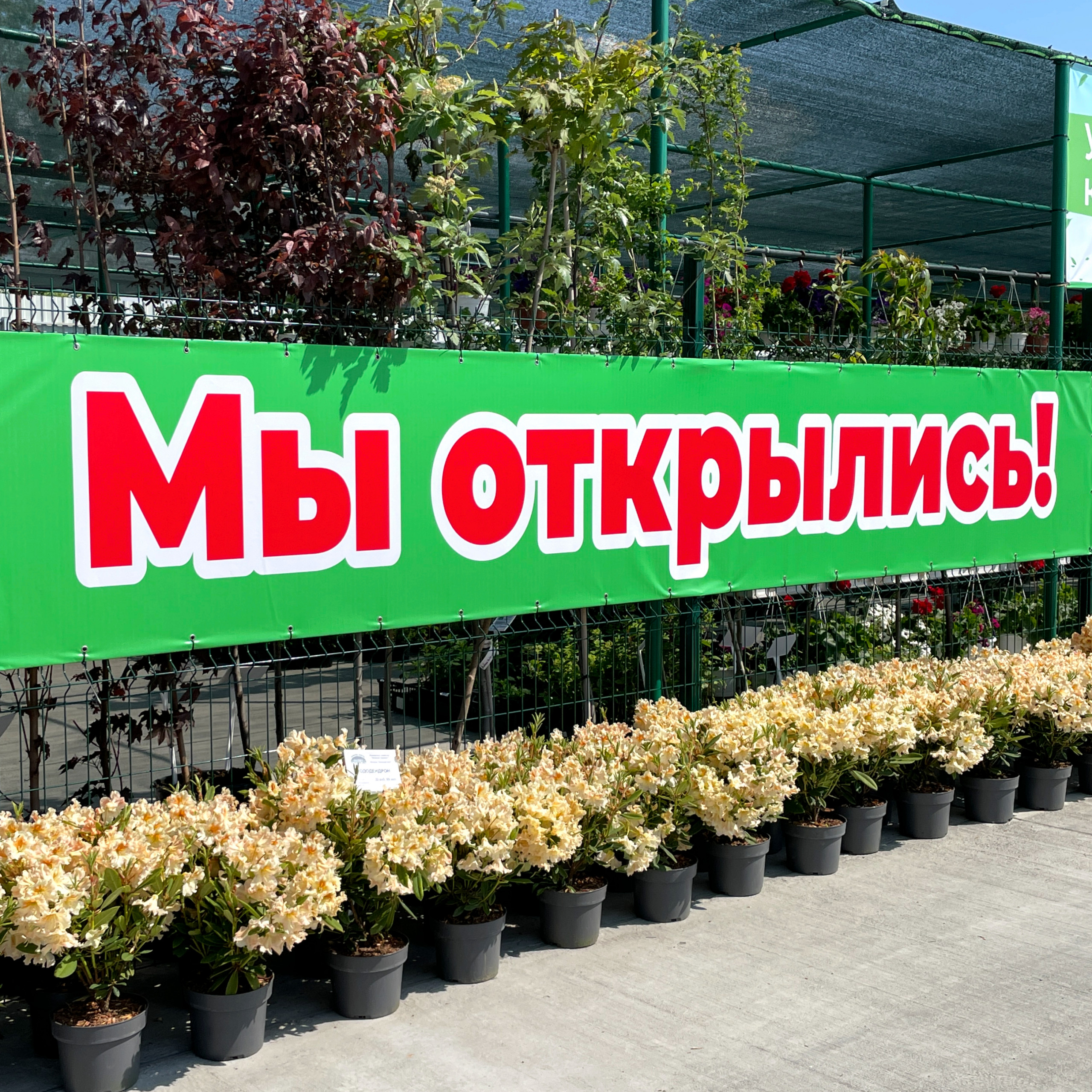 НОВЫЙ САДОВЫЙ ЦЕНТР "ЗЕЛЁНЫЙ МИР" НА ДЗЕРЖИНСКОГО 118