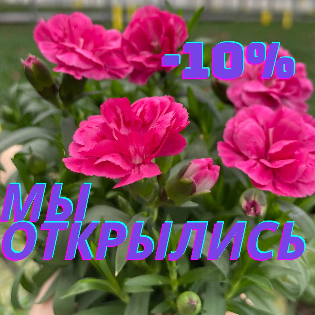 МАГАЗИН "ЗЕЛЁНЫЙ МИР" ПО УЛ.ДЗЕРЖИНСКОГО 118 ОТКРЫЛСЯ И ДАРИТ СКИДКУ 10% НА ВСЁ ДО КОНЦА МАРТА